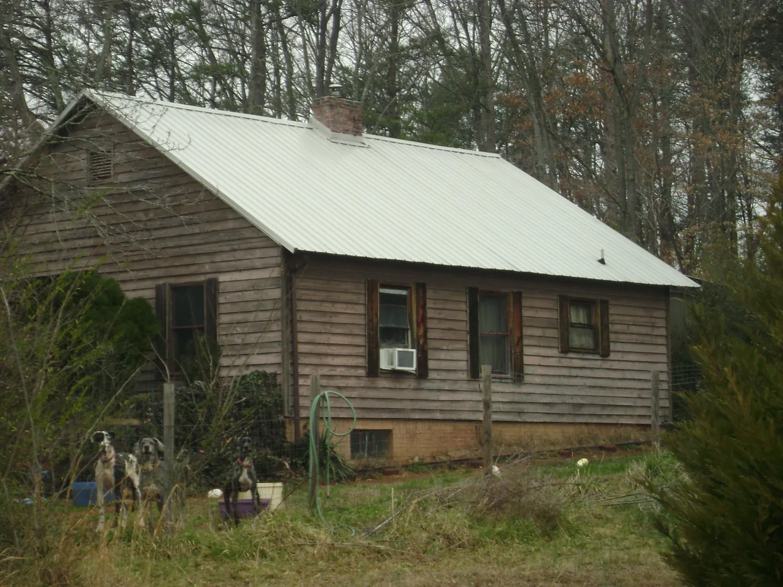 White metal roof on an old wood sided farmhouse, from a Asphalt Shingle Roof Repair job in Canfield